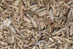 biomass boilers Carrville